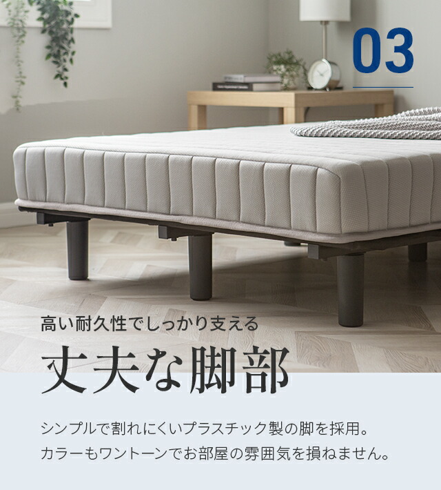 楽天市場】[お買い物マラソン限定5％OFFクーポン配布中]【即日発送