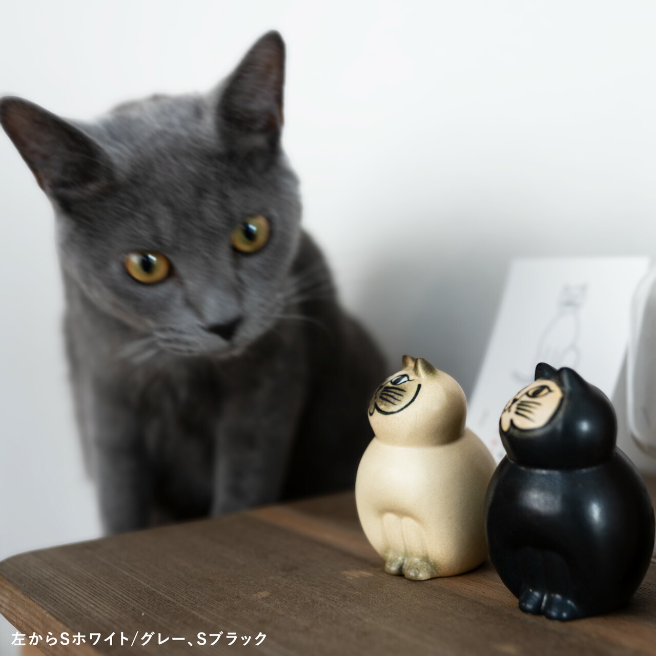 楽天市場】【個体で選べる】 プレゼントボックス入り 正規品 MIA S