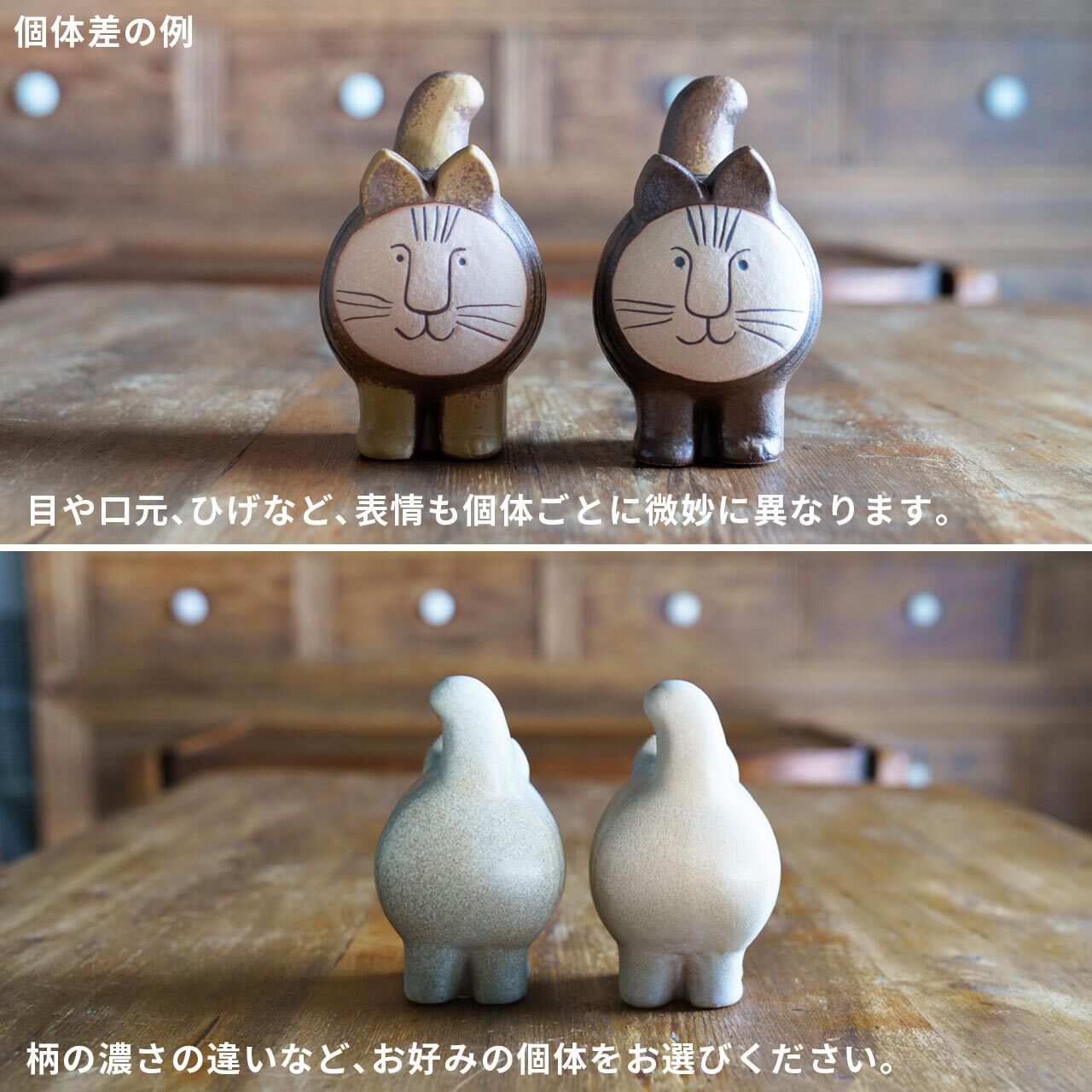 楽天市場】【個体で選べる】 プレゼントボックス入り 正規品 DieciCat