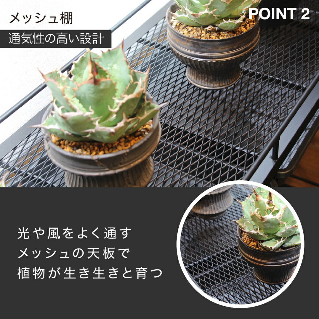 楽天市場】水受けトレー付植物棚 ガベラック 植物棚 アガベ 塊根植物