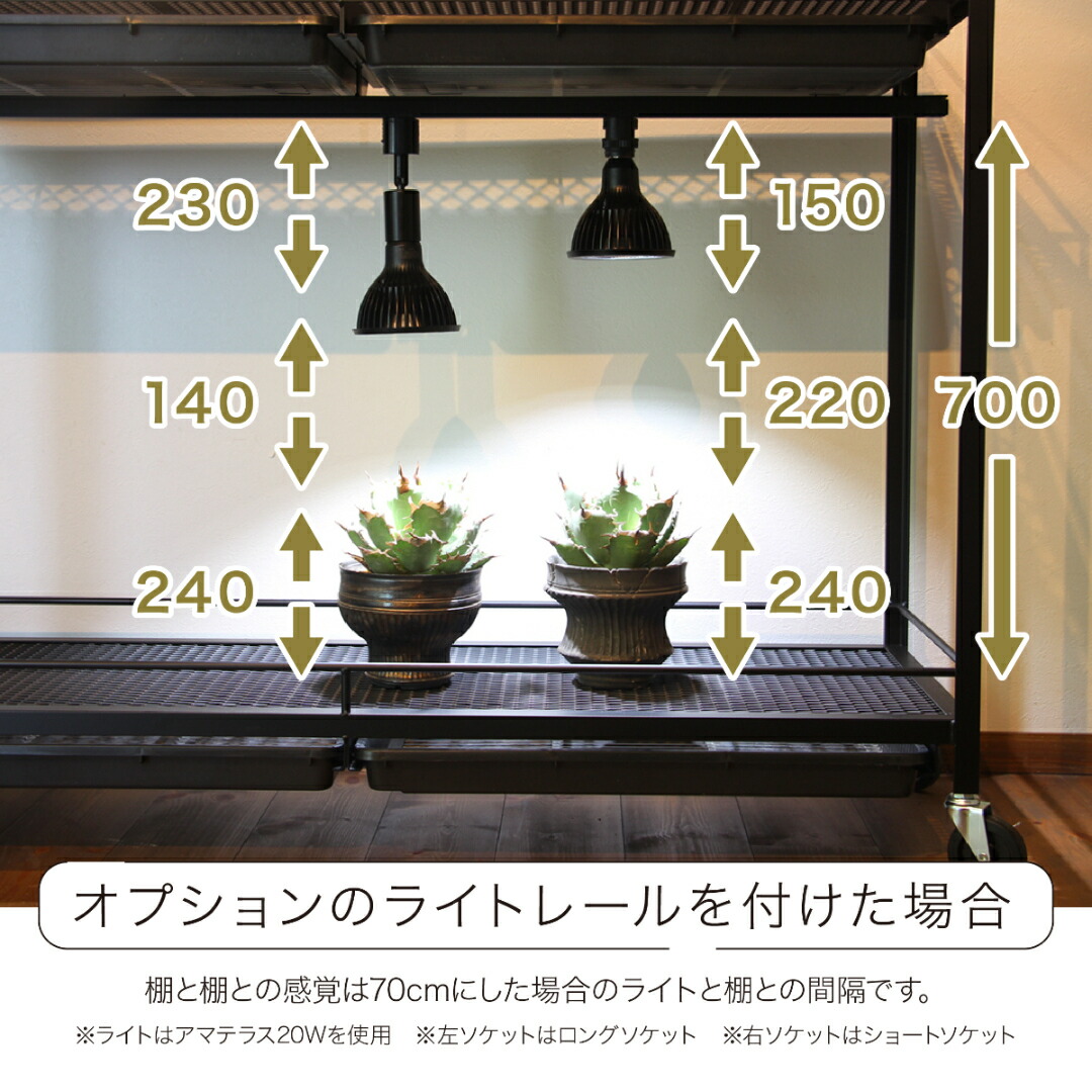 楽天市場】水受けトレー付植物棚 ガベラック 植物棚 アガベ 塊根植物