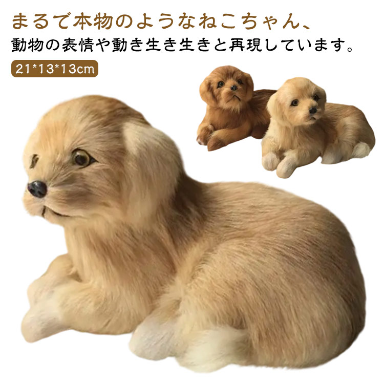 ゴールデン レトリバー ぬいぐるみ」の人気商品一覧 | 安い商品を通販