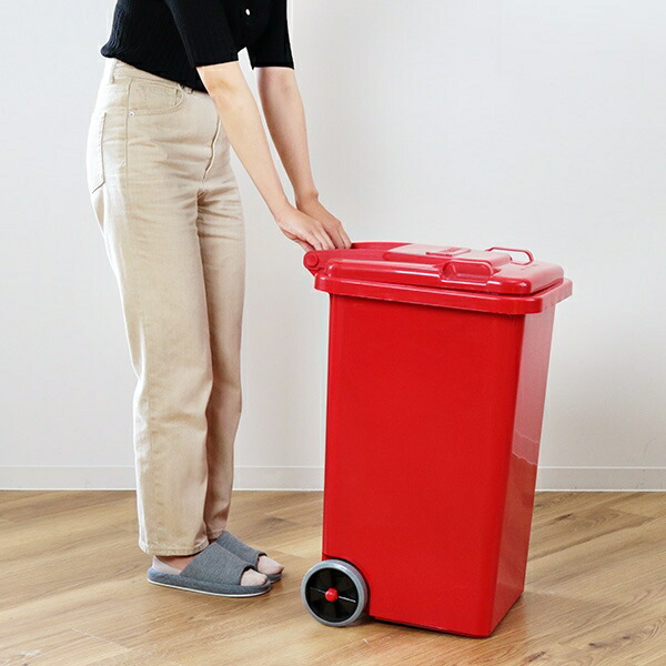 楽天市場】DULTON ゴミ箱 65L 屋外兼用トラッシュカン （ ごみ箱 65