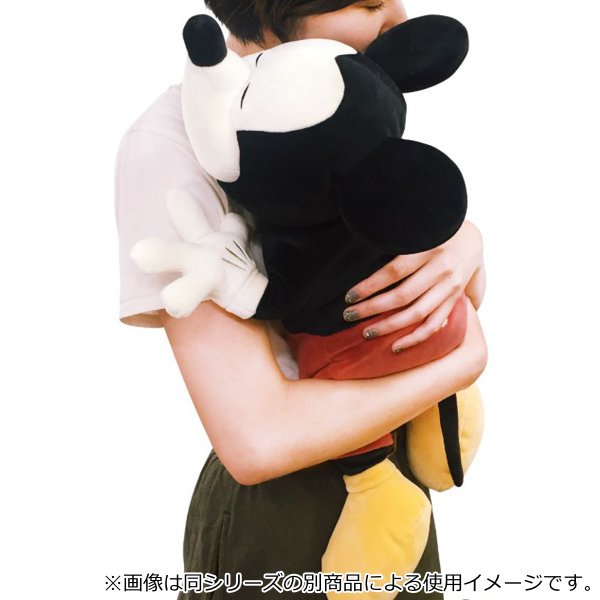 楽天市場】抱き枕 レディ Mサイズ クッション わんわん物語 ディズニー