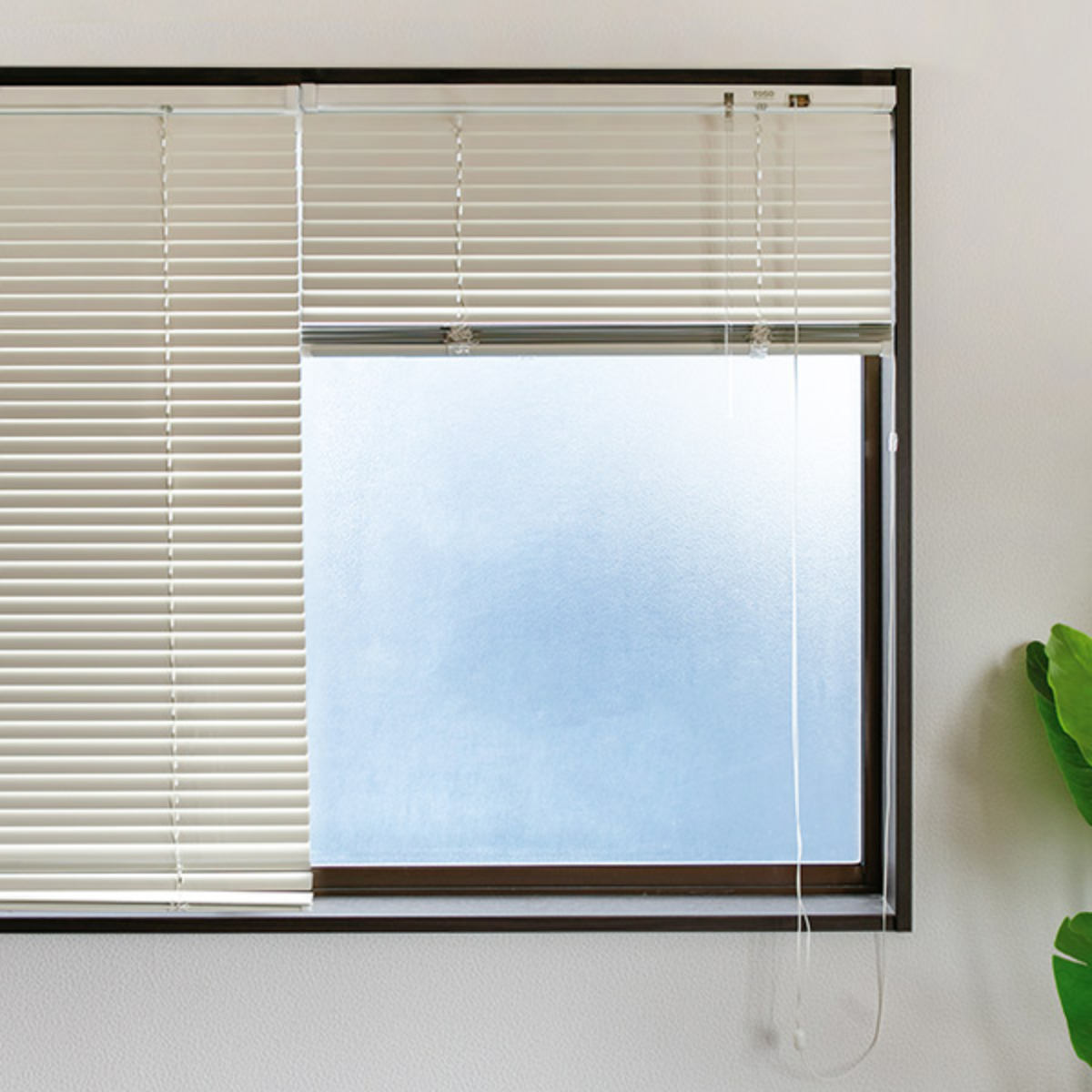 楽天市場】アルミブラインド 164×210cm アルミ製 ブラインド トーソー