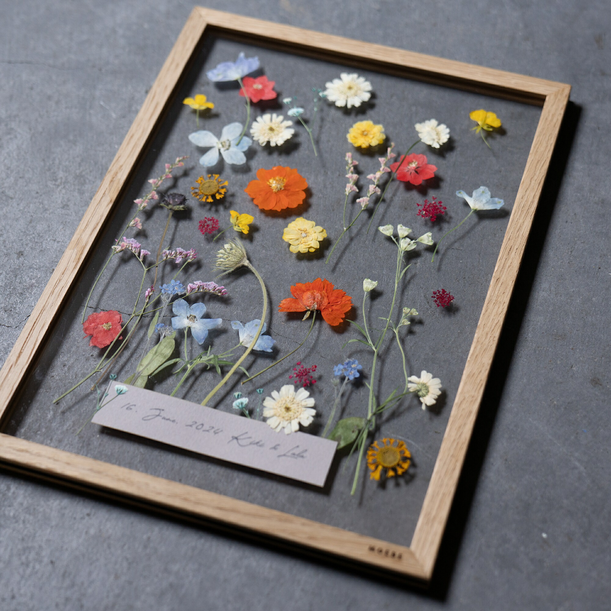 楽天市場】押し花フレーム カラフル プレスフラワー 押し花 フレーム