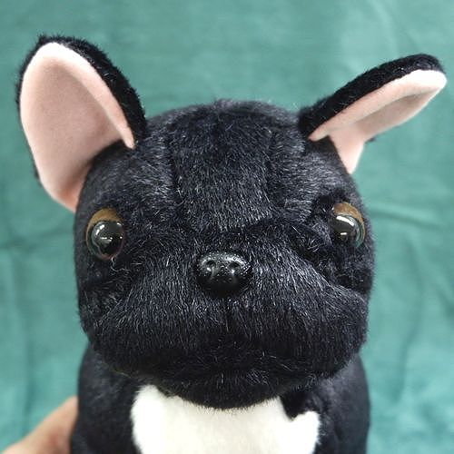楽天市場】フレンチブルドッグ BLACK体長18cm 体高13cm 頭の高さ19cm
