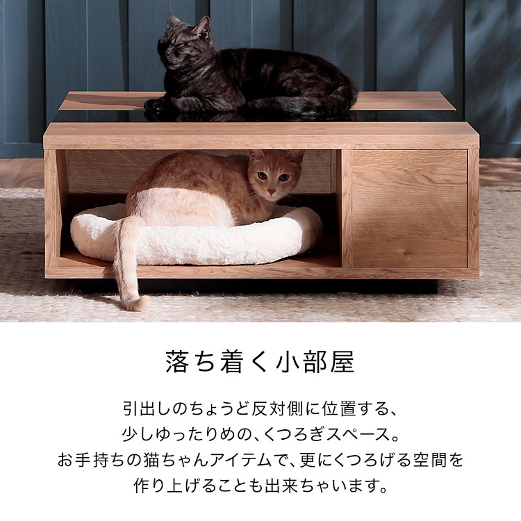 楽天市場】猫 ローテーブル テーブル ペット センターテーブル