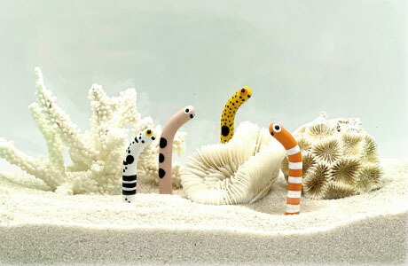 楽天市場】○【アズー】NEWちんあなご ゼブラアナゴ LH20464 AZOO