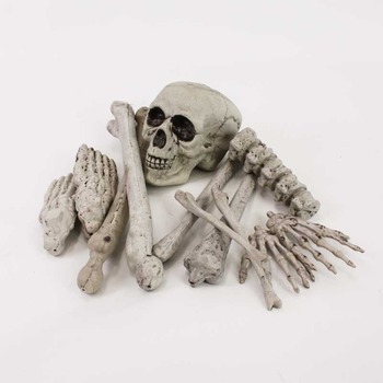 楽天市場】[2点セット] 骨セット12個入り 【 ハロウィン オブジェ