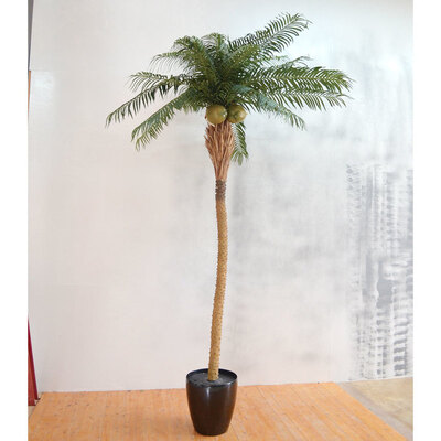 楽天市場】【取寄品】 フェイクグリーン 光触媒 フェニックス 300cm