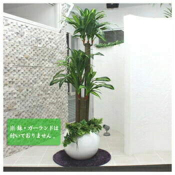楽天市場】150cmドラセナフレグランス (造花・人工観葉植物) 【 幸福の
