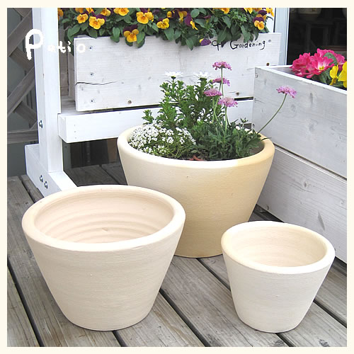 楽天市場】テラコッタ ホワイトスノウ 3点セット ストレート型 【素焼