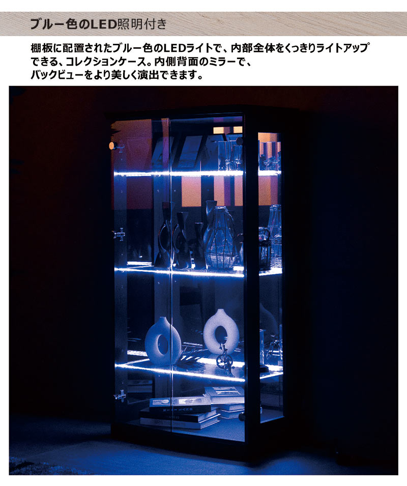 楽天市場】ロータイプ コレクションケース コレクションボード