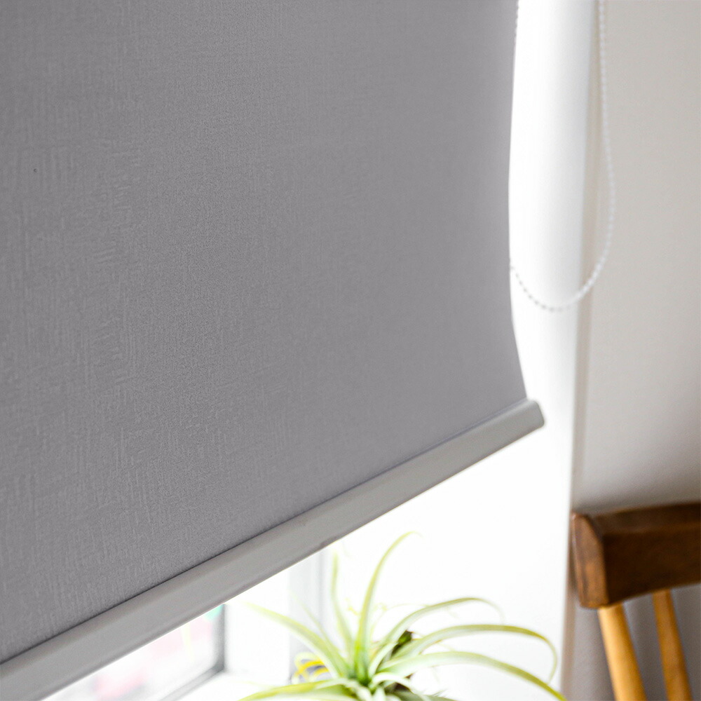 楽天市場】【マラソン限定クーポン！2/23まで】ロールスクリーン 幅50