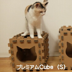 楽天市場】【NecoDan プレミアムCube S/またたび付】ねこだん おもちゃ