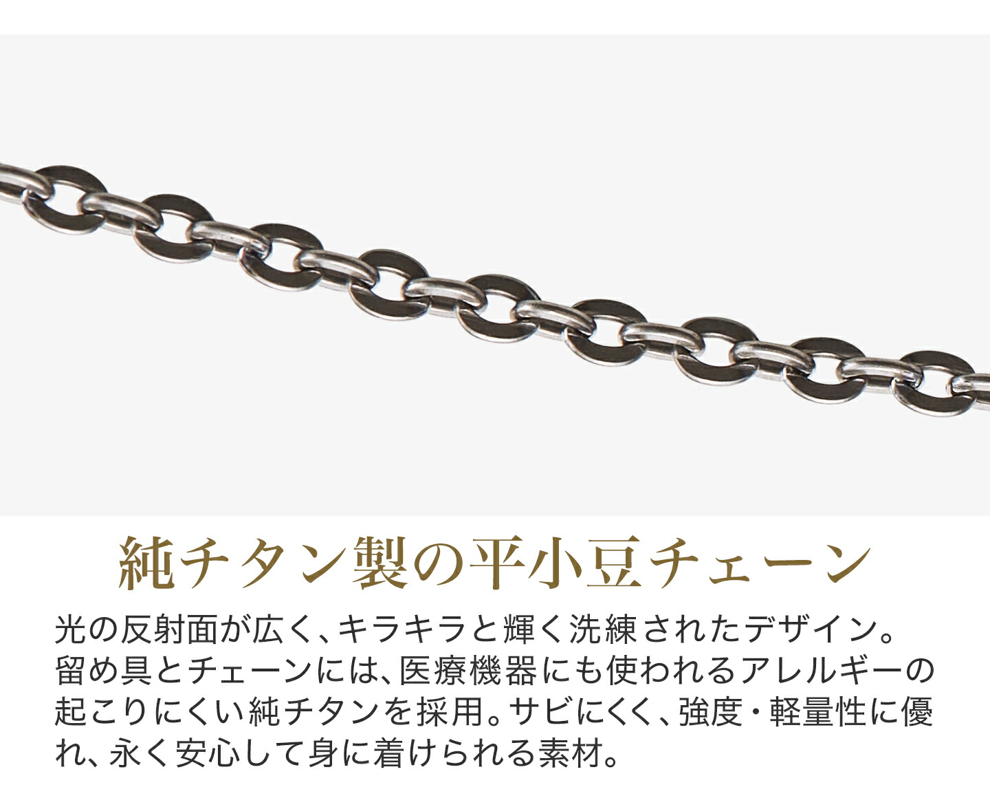 楽天市場】ファイテン ネックレス チタンチェーン ステーション チタン