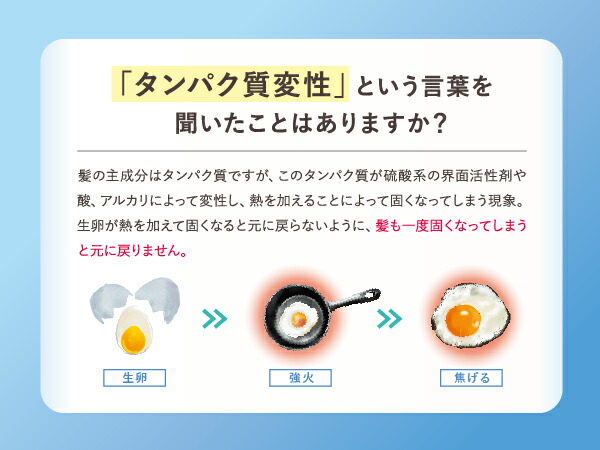 楽天市場】シャンプー & トリートメント セット 公式 fuettarich