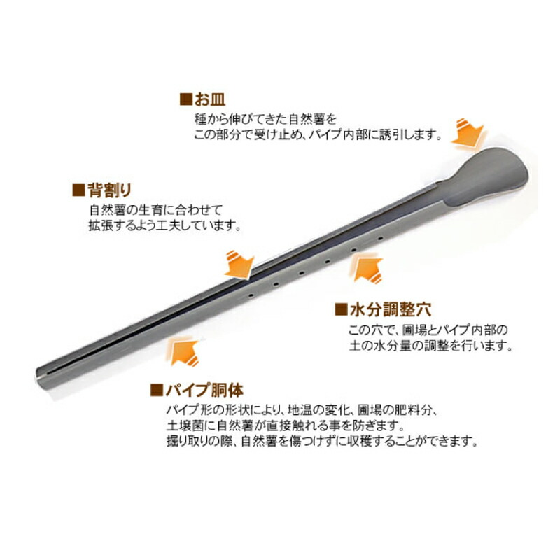 楽天市場】【100%ポイントバック エントリー＆抽選2/25まで】繰り返し