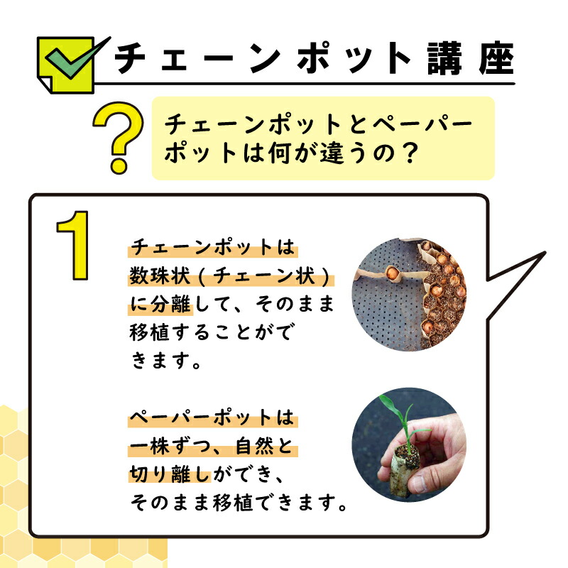 楽天市場】【100%ポイントバック エントリー＆抽選2/25まで】LP