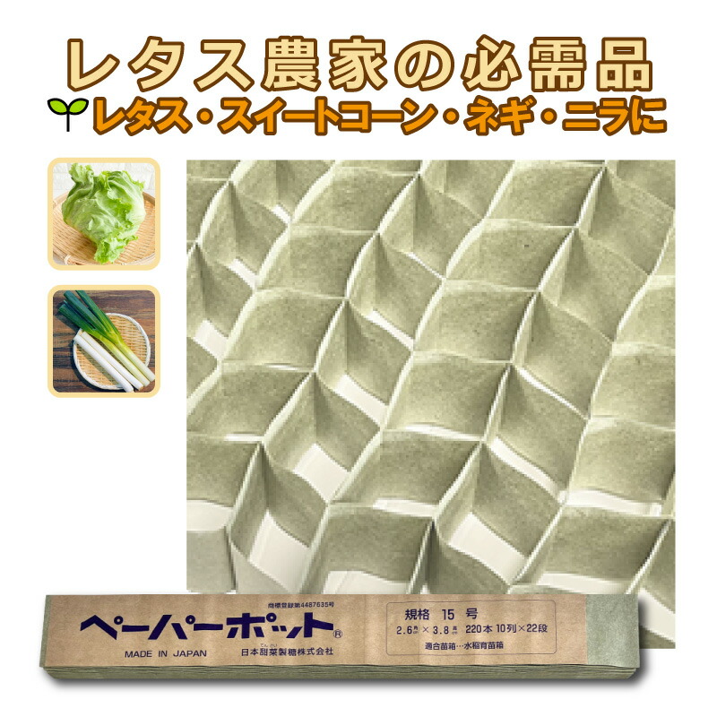 楽天市場】【100%ポイントバック エントリー＆抽選2/25まで】ペーパー