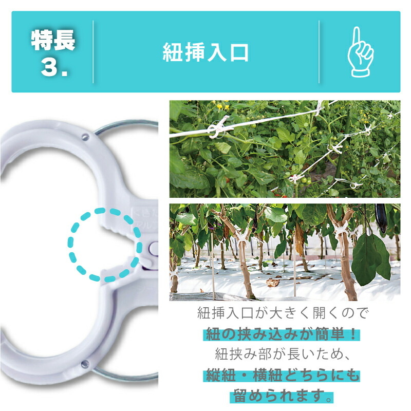 楽天市場】【100%ポイントバック エントリー＆抽選2/25まで】200個