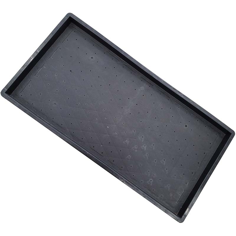 楽天市場】【100%ポイントバック エントリー＆抽選2/25まで】10枚 水稲