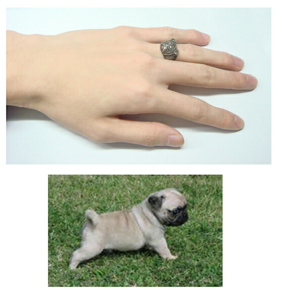 楽天市場】パグ/犬/シルバー925/リング/指輪/ドッグ/Dog/ring/犬リング