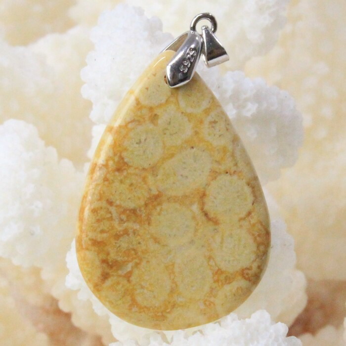 楽天市場】珊瑚 化石 ペンダント 化石 サンゴ 珊瑚 フォッシルコーラル