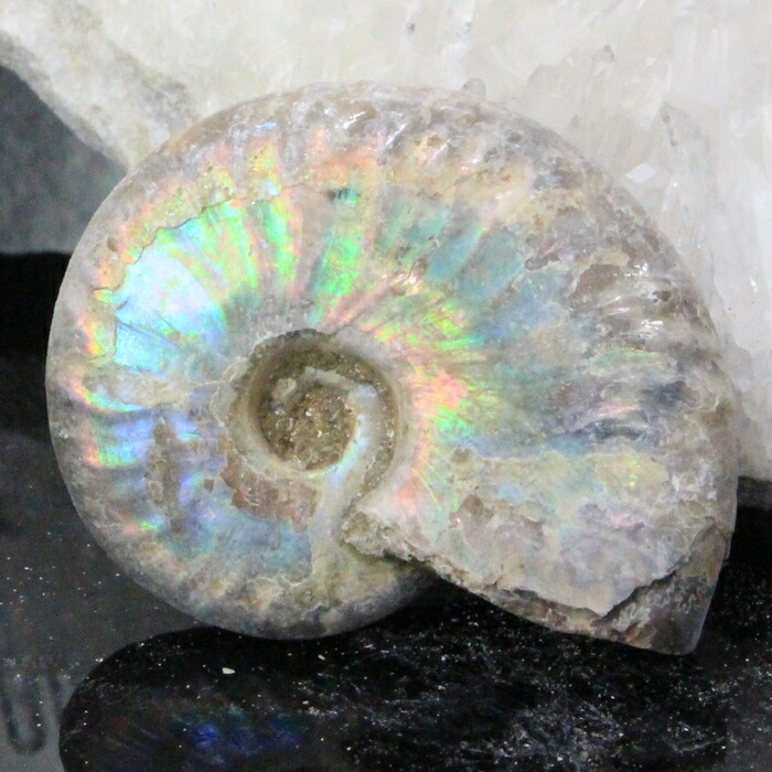 アンモライト」の人気商品一覧 | 安い商品を通販サイトから探す - 価格.com