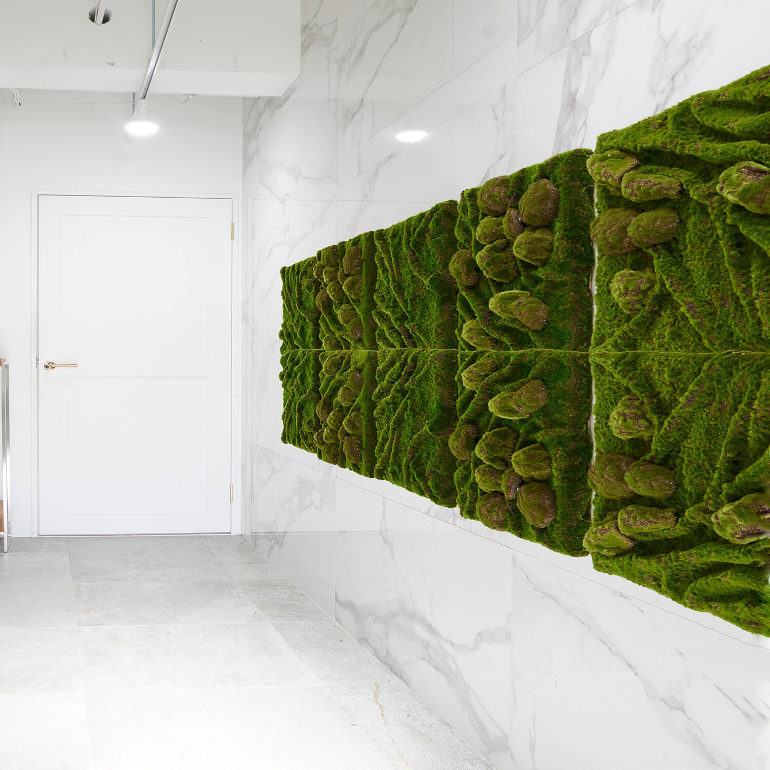 楽天市場】【ポイントUP】【公式】苔パネル 粋 45cm角 CUPBON 盆栽