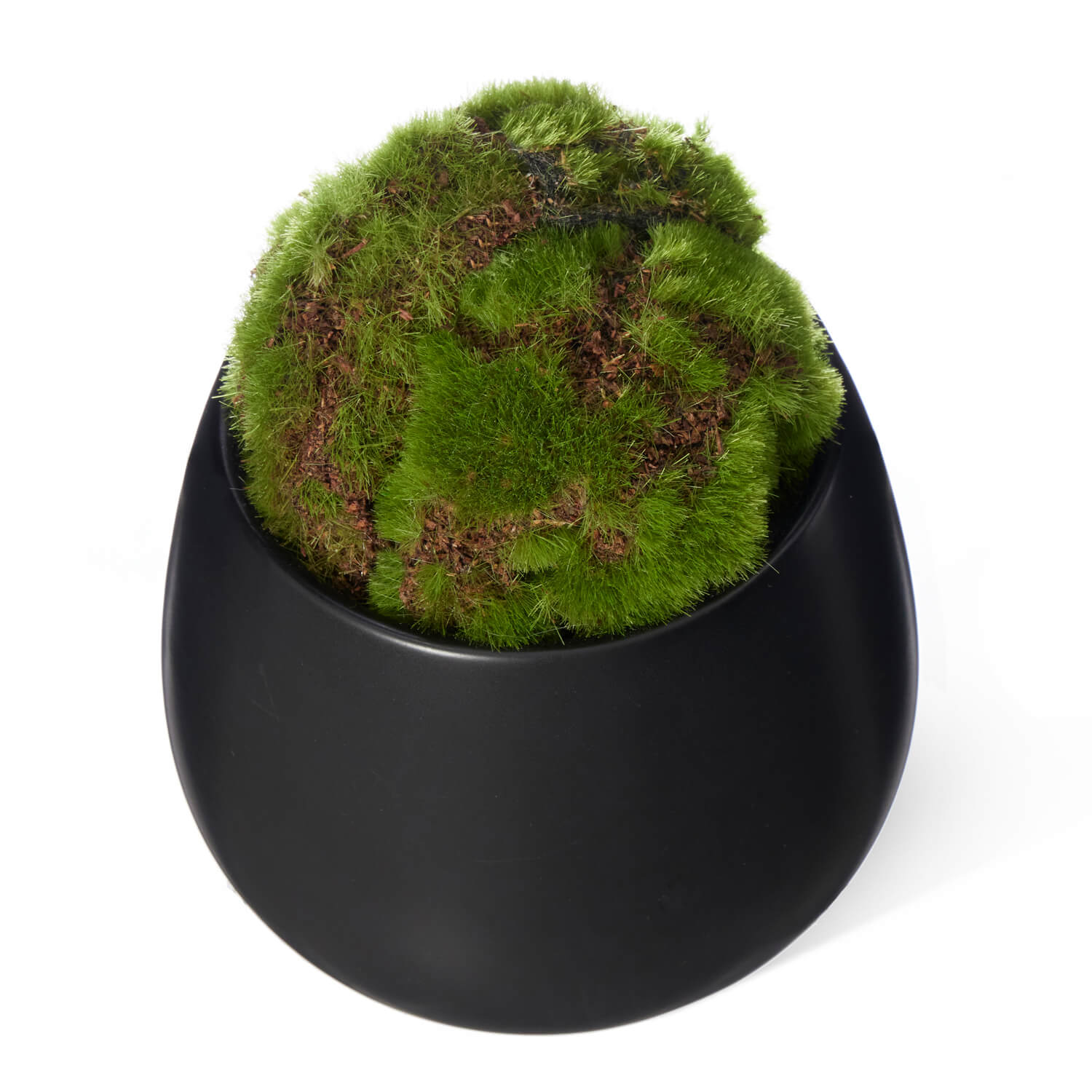 楽天市場】【ポイントUP】【公式】苔盆 しずく CUPBON 盆栽 フェイク