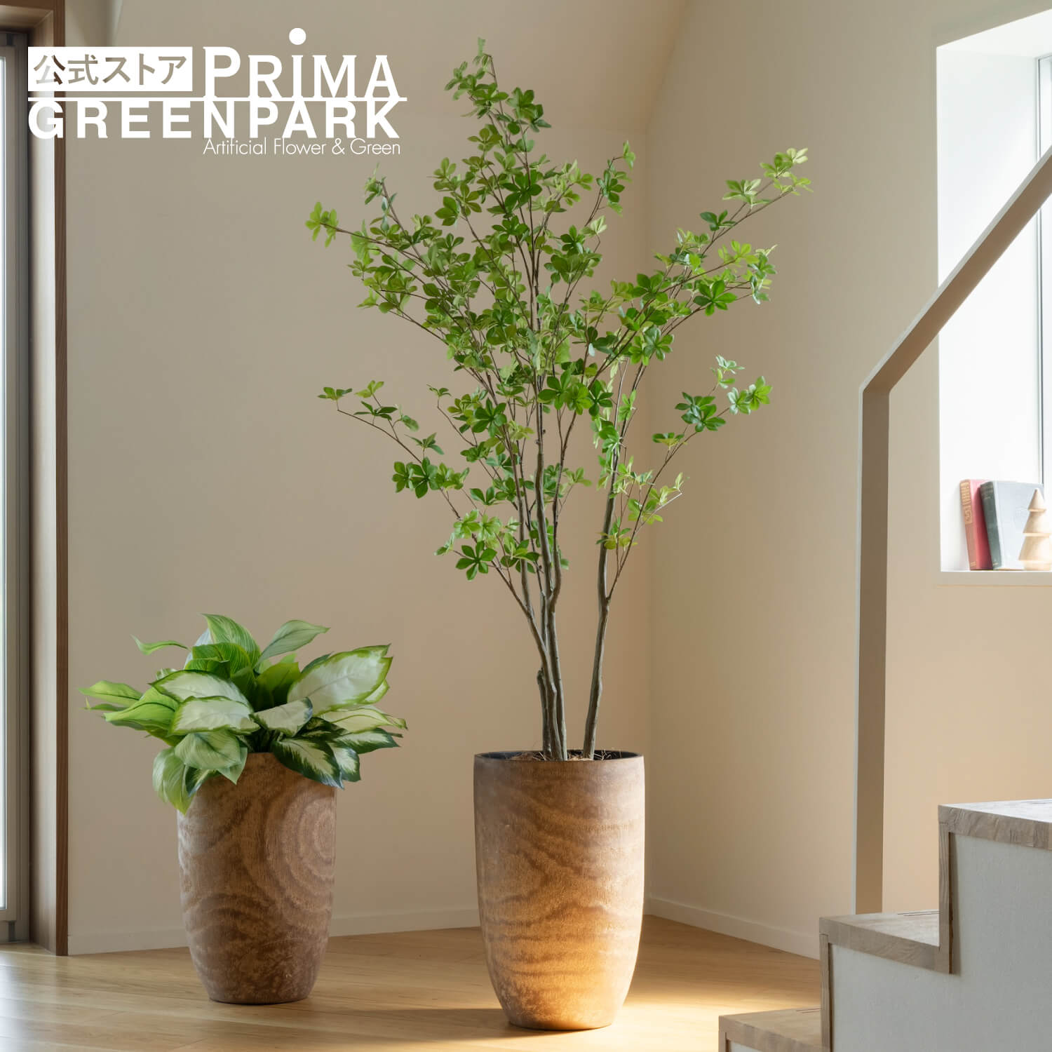 楽天市場】【公式】ドウダンツツジ ウッドプランター H185cm 観葉植物