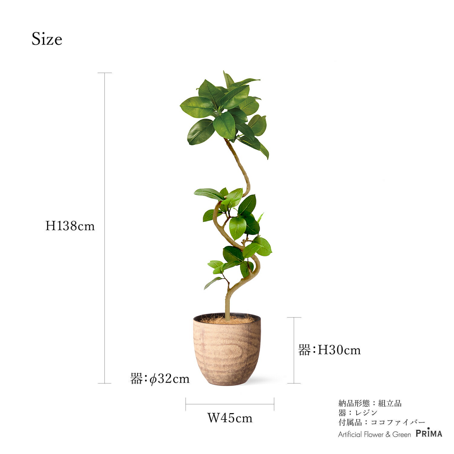 楽天市場】【ポイントUP】【公式】フィカスアルテシマ ウッドポット