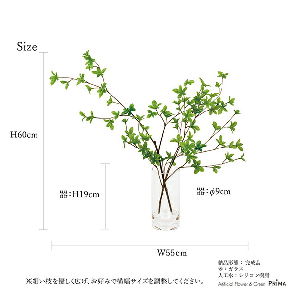 楽天市場】【ポイントUP】【公式】ドウダンツツジ Water H60cm 観葉