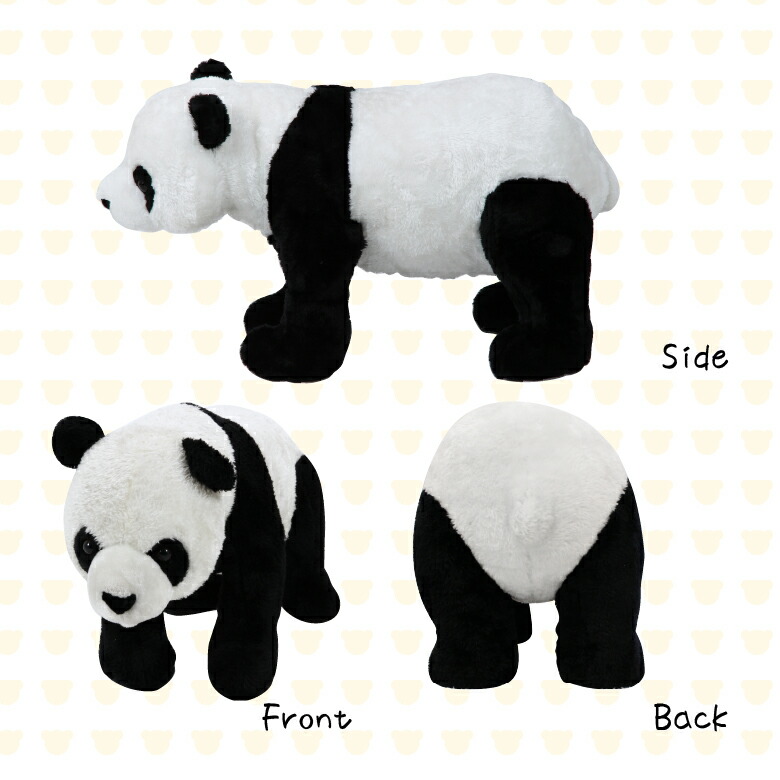 楽天市場】＼P5倍＆お得なクーポン配布中／【送料無料_c】座れる