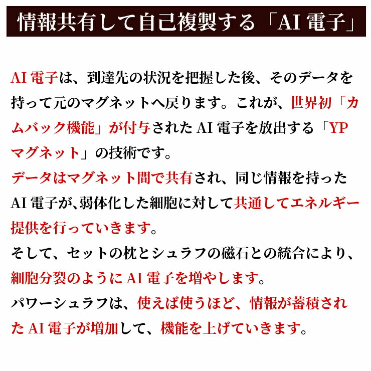 楽天市場】AI電子が弱った細胞を正常化する リカバリー 寝袋 湧命力