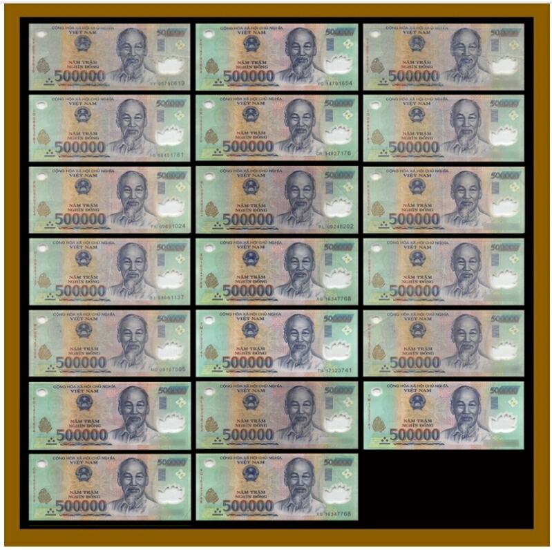 楽天市場】【品質保証書付】ベトナム ドン 50万ドン 20枚 ベトナムドン