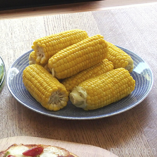 楽天市場】アラビア 24h アベック プレート 26cm ブルー / ARABIA Avec