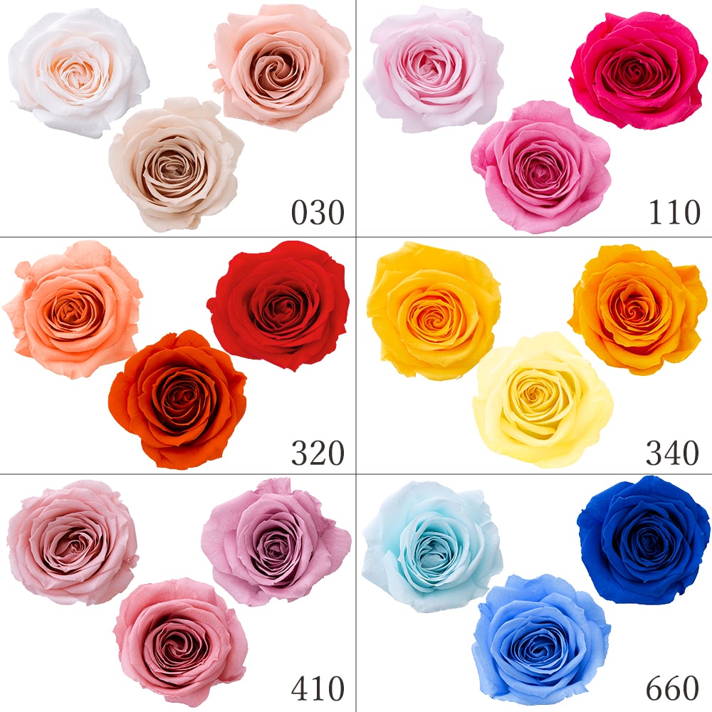 楽天市場】【P15倍中 2/24 9:59まで】 プリザーブドフラワー 花材