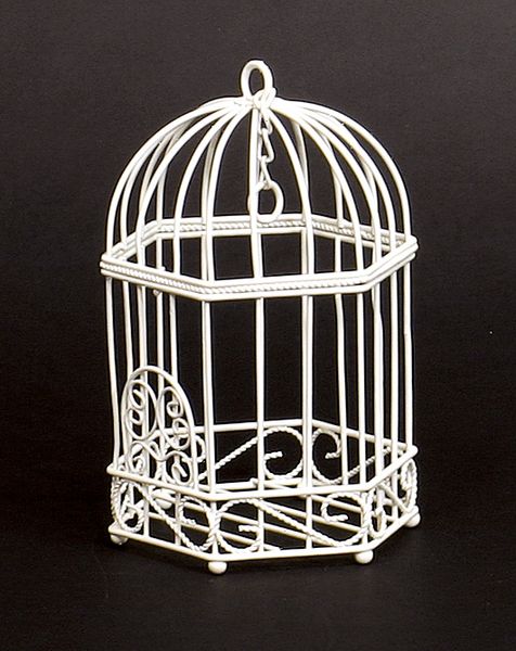 楽天市場】鳥かご ベース とりよせ品 バードケージフラワードーム