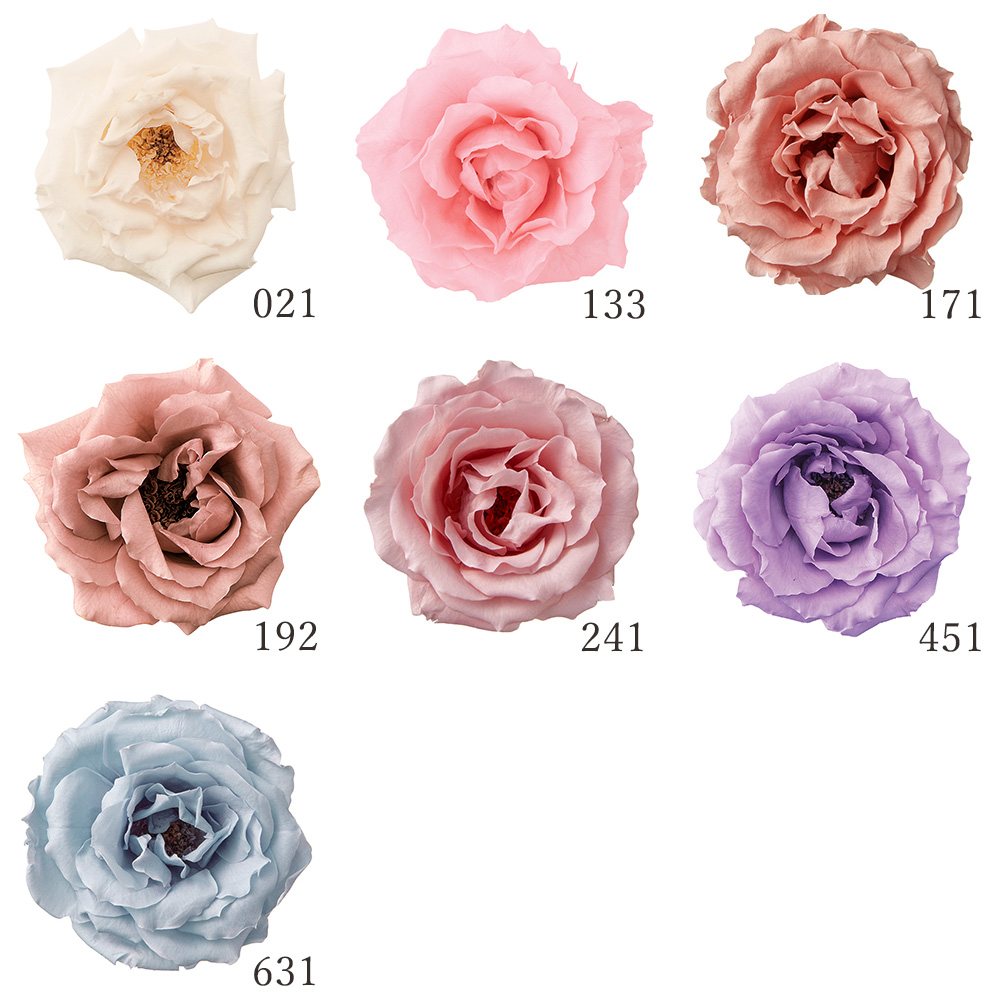 楽天市場】【P15倍中 2/24 9:59まで】 プリザーブドフラワー 花材