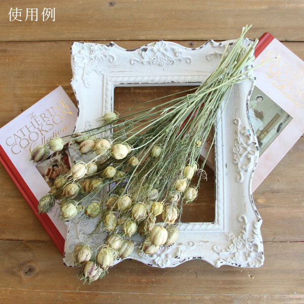 楽天市場】【P15倍中 2/24 9:59まで】 ドライフラワー 花材 即日出荷