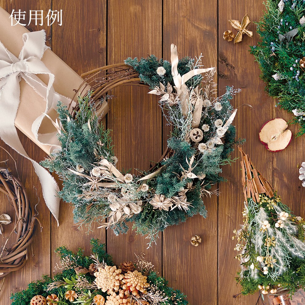 楽天市場】ドライフラワー 花材 即日出荷 スターアニス ドライフラワー