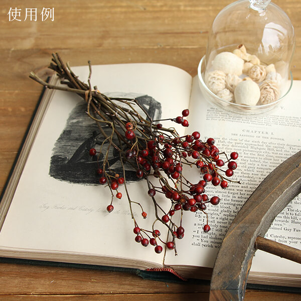 楽天市場】【P15倍中 2/24 9:59まで】 ドライフラワー 花材 即日出荷