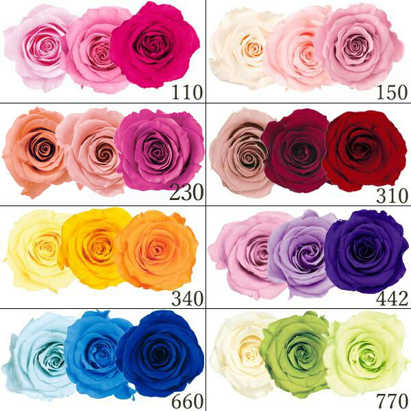 楽天市場】【P15倍中 2/24 9:59まで】 プリザーブドフラワー 花材