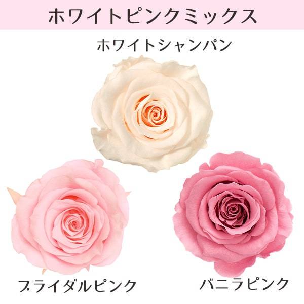 楽天市場】【P15倍中 2/24 9:59まで】 プリザーブドフラワー 花材
