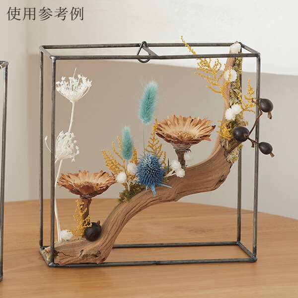 楽天市場】【P15倍中 2/24 9:59まで】 ドライフラワー 花材 とりよせ品