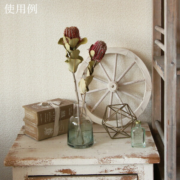 楽天市場】【P15倍中 2/24 9:59まで】 ドライフラワー 花材 即日出荷