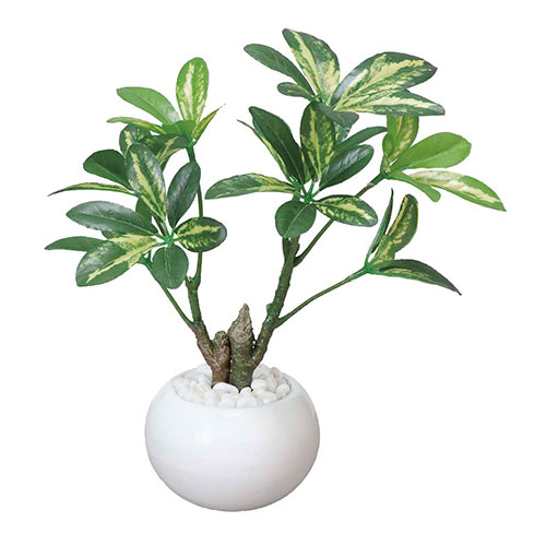 楽天市場】アートグリーン 人工観葉植物 光触媒 光の楽園 シェフレラ